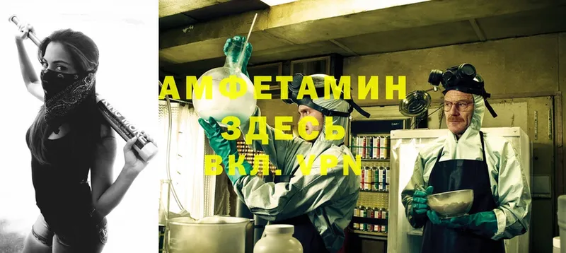 где купить   Шумерля  Amphetamine VHQ 